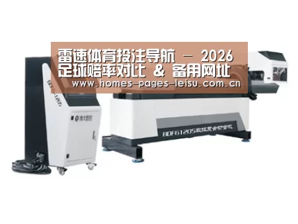 案例展示三