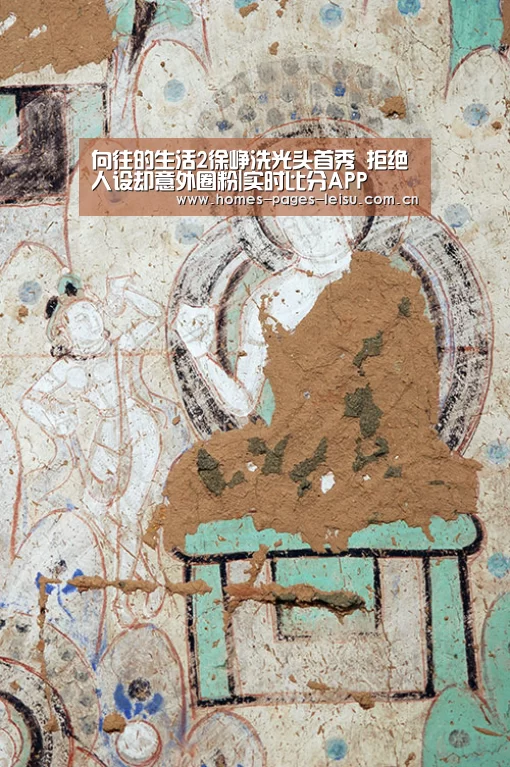 向往的生活2徐峥洗光头首秀 拒绝人设却意外圈粉|实时比分APP(图1) 实时比分APP