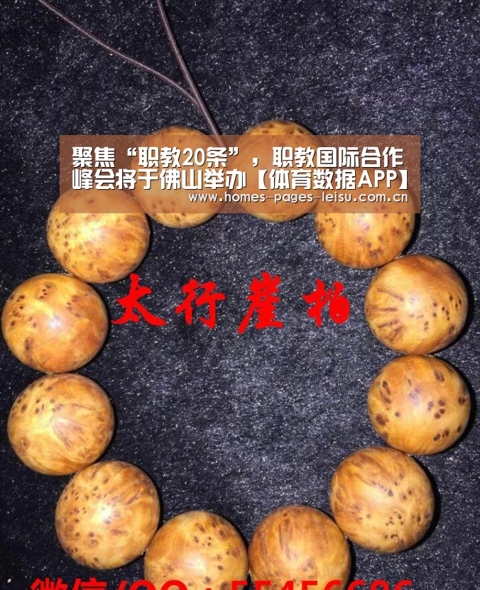 聚焦“职教20条”,职教国际合作峰会将于佛山举办【体育数据APP】(图2) 实时比分APP