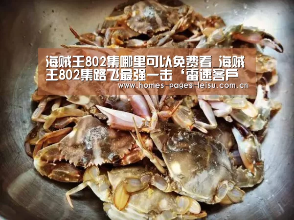海贼王802集哪里可以免费看_海贼王802集路飞最强一击‘雷速客户端’(图3) 雷速客户端